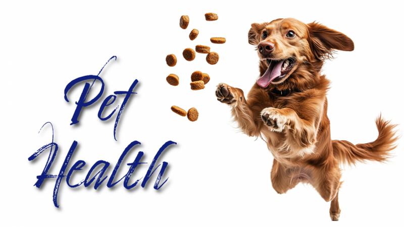 Pet Health: Nutrition and Herbal Medicine for Animals